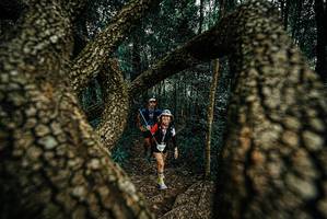 BIB: 
                            <button type="button" onclick="openModal(25674400)" class="btn btn-primary btn-sm float-right btn-popup" data-toggle="modal" data-target=".modal-high-quality">
                        <i class="fas fa-shopping-cart"></i> Add to Cart
                    </button>
                                            <button type="button" onclick="isThisMe(25674400, true)" class="btn btn-success btn-sm float-right btn-popup btn-isme hidden" data-toggle="tooltip" data-placement="bottom" title="นี่คือรูปของคุณใช่ไหม คลิกที่นี่เพื่อเอาเข้าอัลบั้ม">
                        <i class="fas fa-plus"></i> Add to album
                    </button>
                    <button type="button" onclick="isThisMe(25674400, false)" class="btn btn-warning btn-sm float-right btn-popup btn-isnotme hidden">
                        <i class="fas fa-ban"></i> Remove from album
                    </button>